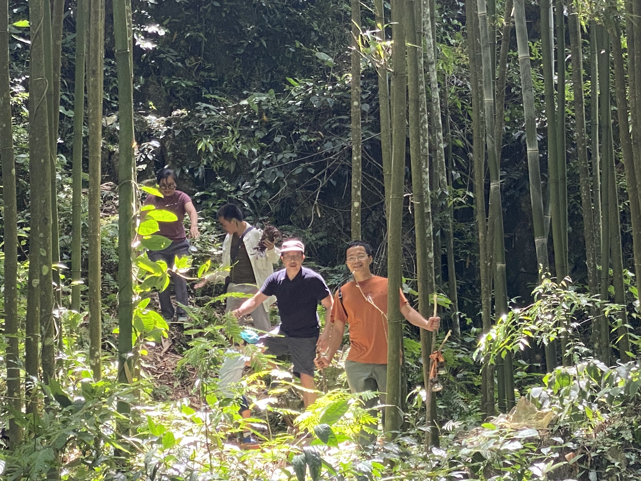 Lung Van Pu Luong Trekking Tour